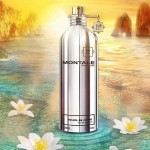 Montale Soleil de Capri EDP 100ml за жени и мъже